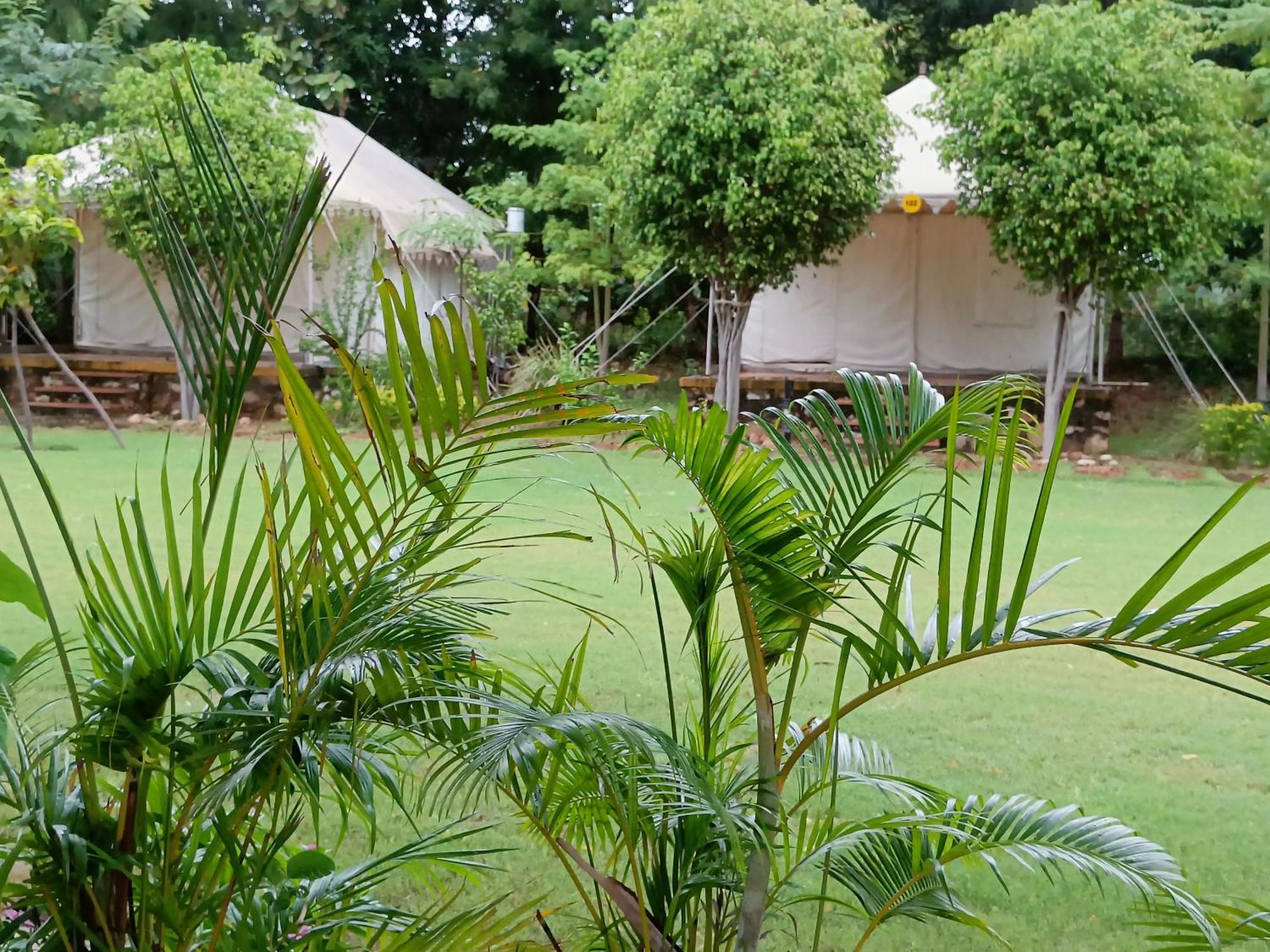 Ranthambhore Bagh Dwar Camp Khilchipur  Ngoại thất bức ảnh