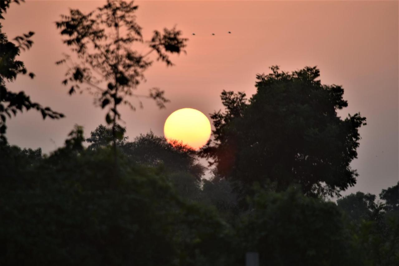 Ranthambhore Bagh Dwar Camp Khilchipur  Ngoại thất bức ảnh