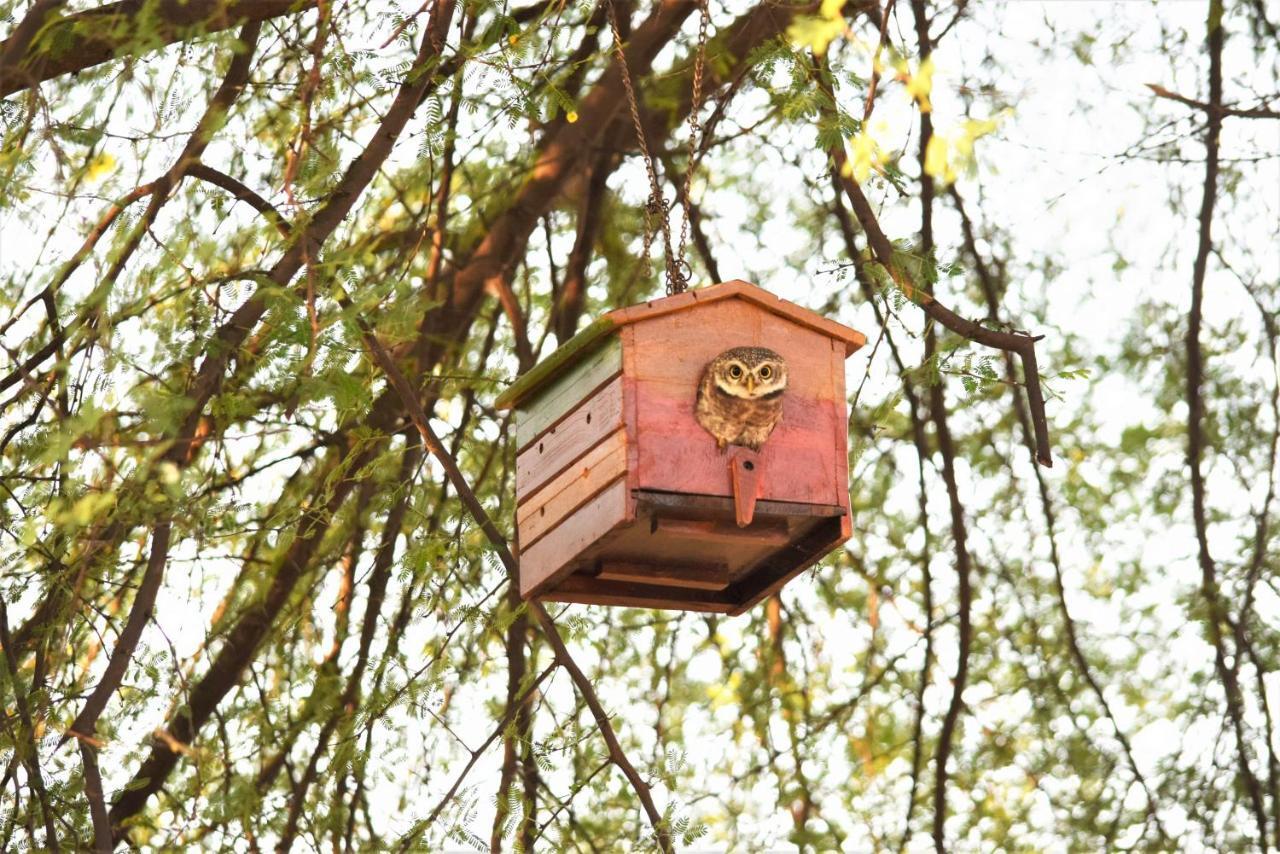 Ranthambhore Bagh Dwar Camp Khilchipur  Ngoại thất bức ảnh